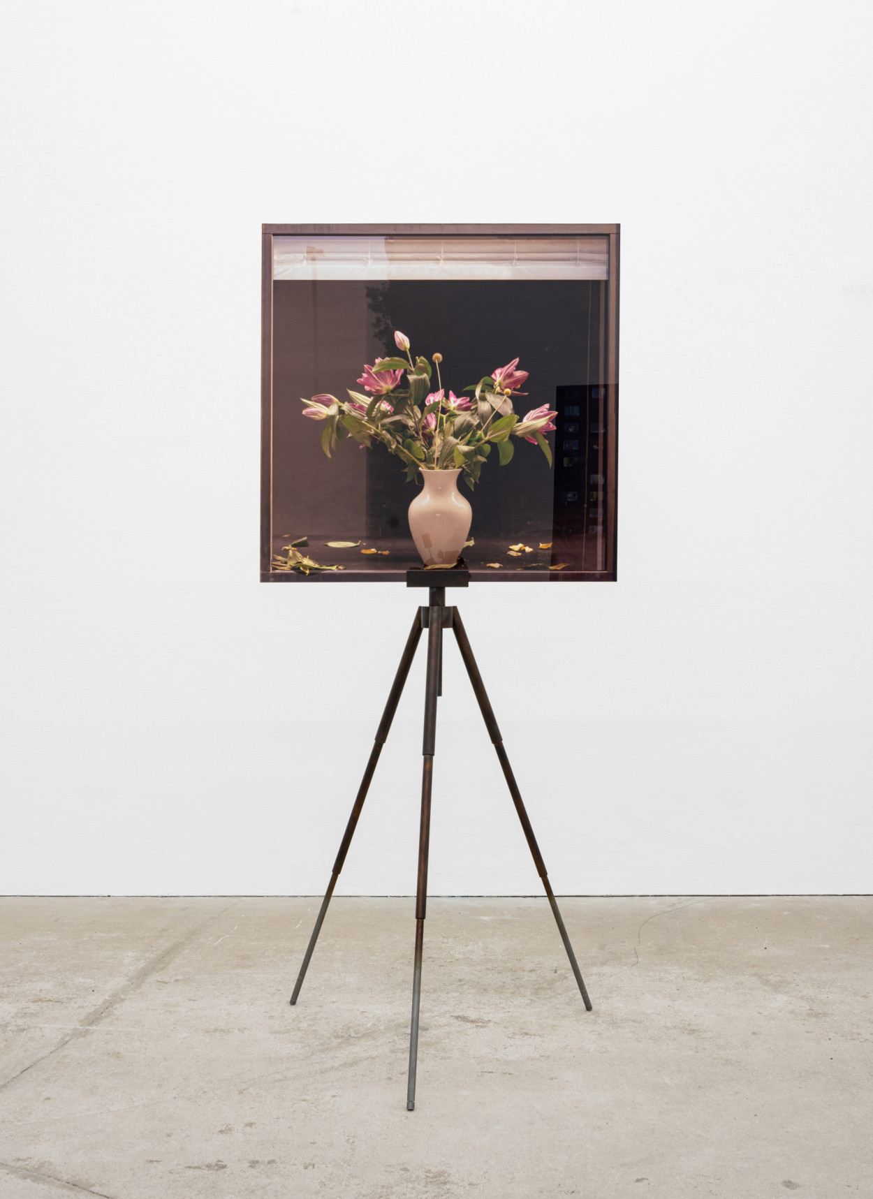 Die Sache eines Augenblicks