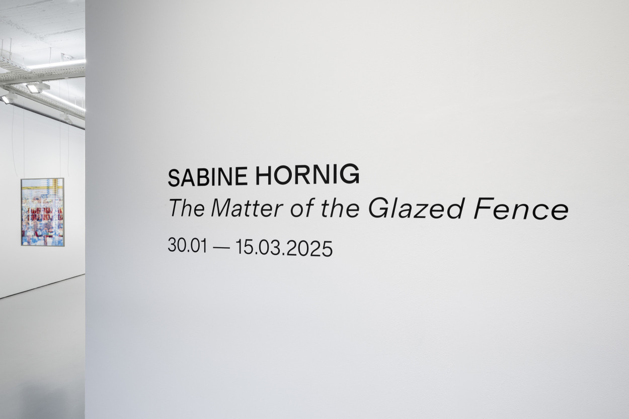 The Matter Of The Glazed Fence