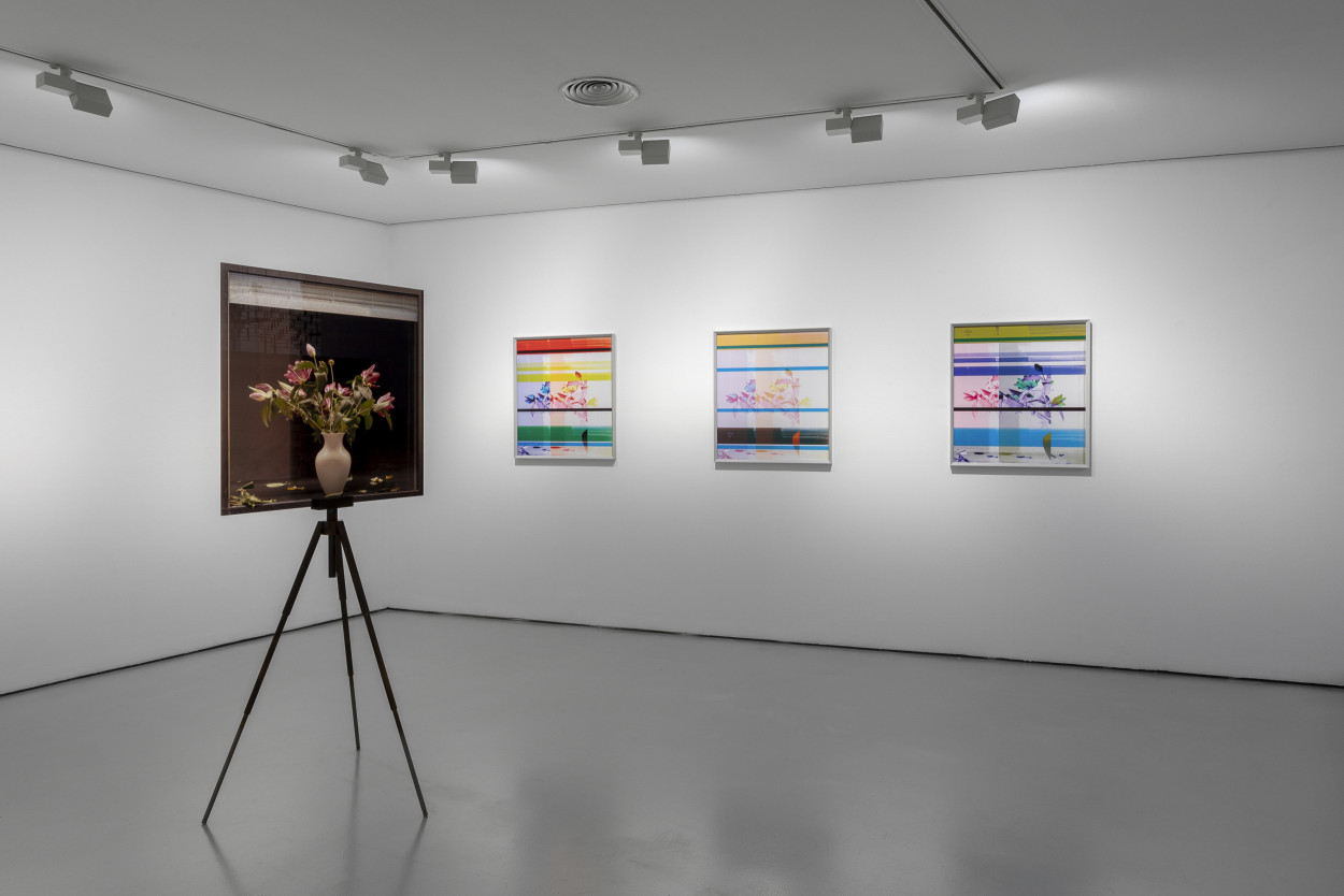 The Matter Of The Glazed Fence